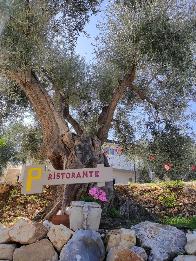 Agriturismo Passione Natura فيستَ المظهر الخارجي الصورة
