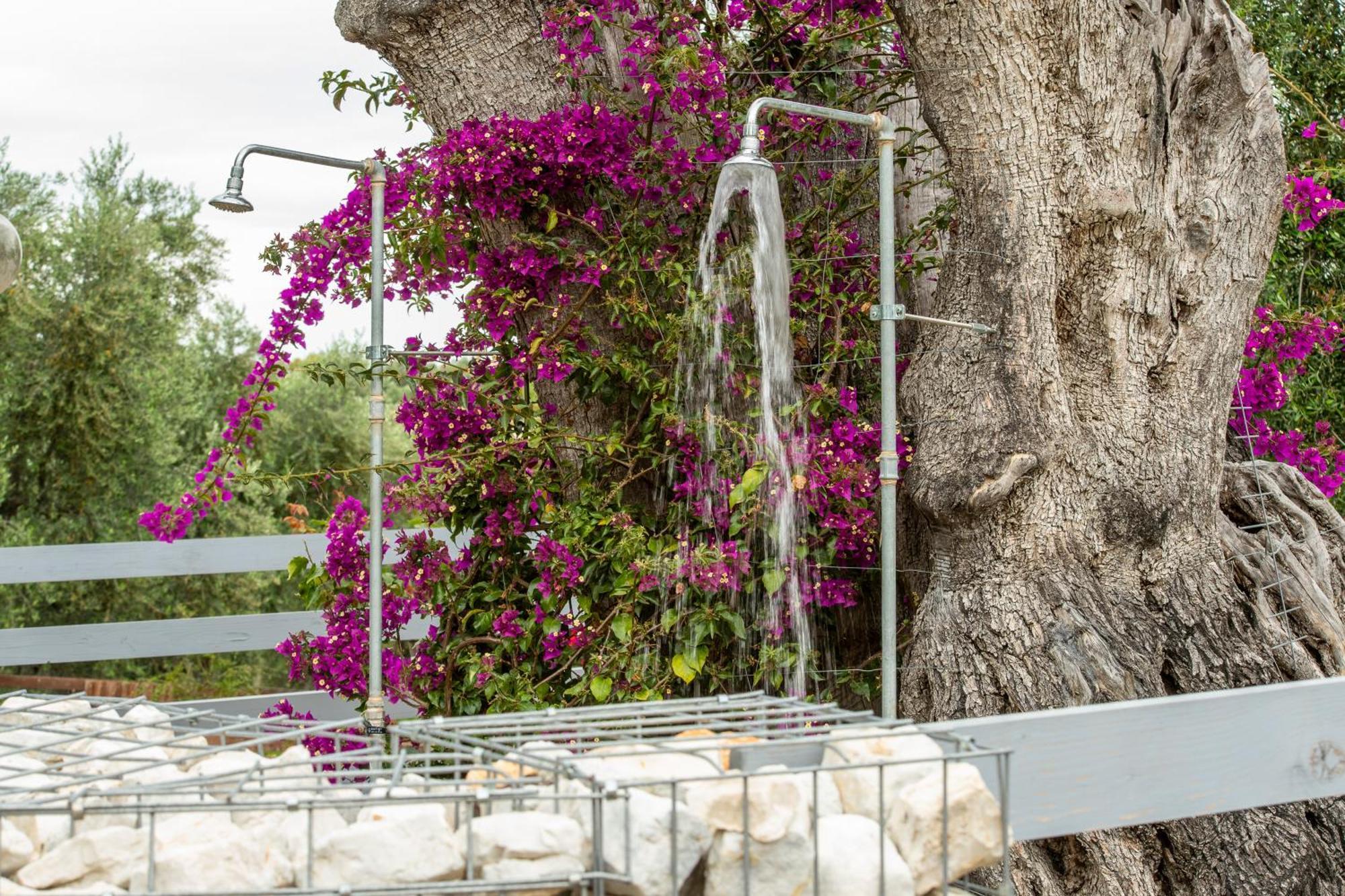 Agriturismo Passione Natura فيستَ المظهر الخارجي الصورة